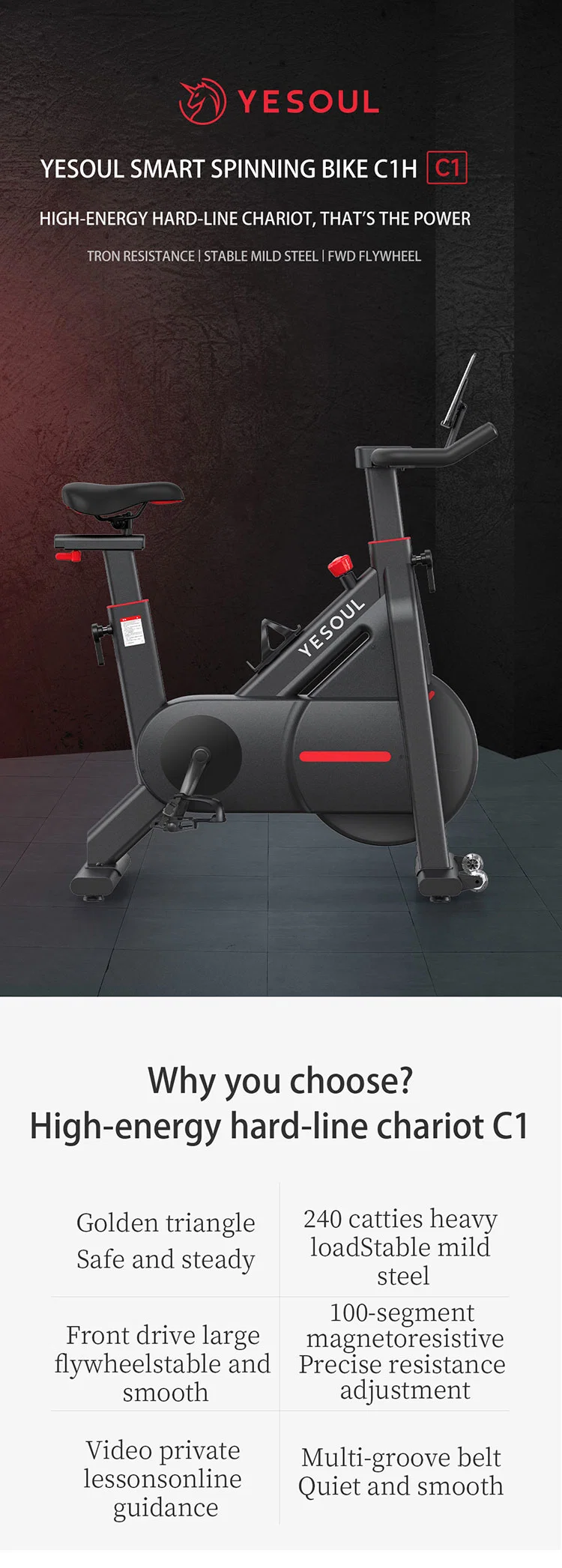 Spin Bike Indoor Training Home Gym Fitness Equipment