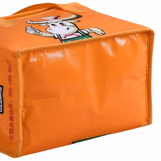 Polyester Sport Zipper 24 Cans Insulated Promotional Cooler Bag